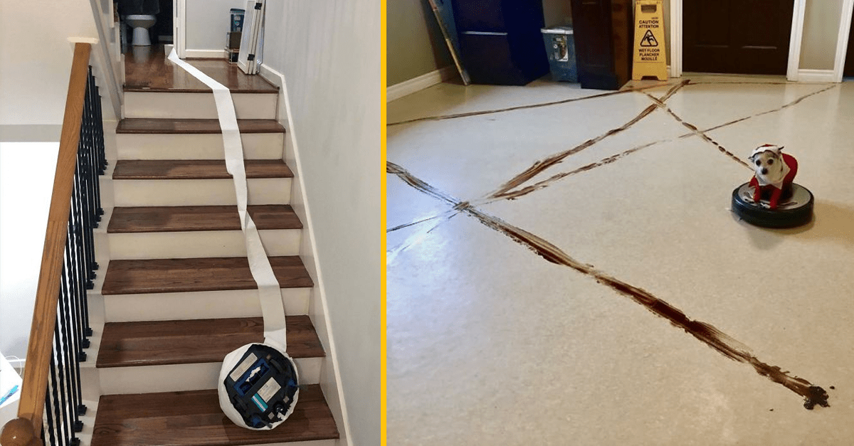 15+ dôkazov toho, že aj obyčajné vysávanie môže byť nepredvídateľné