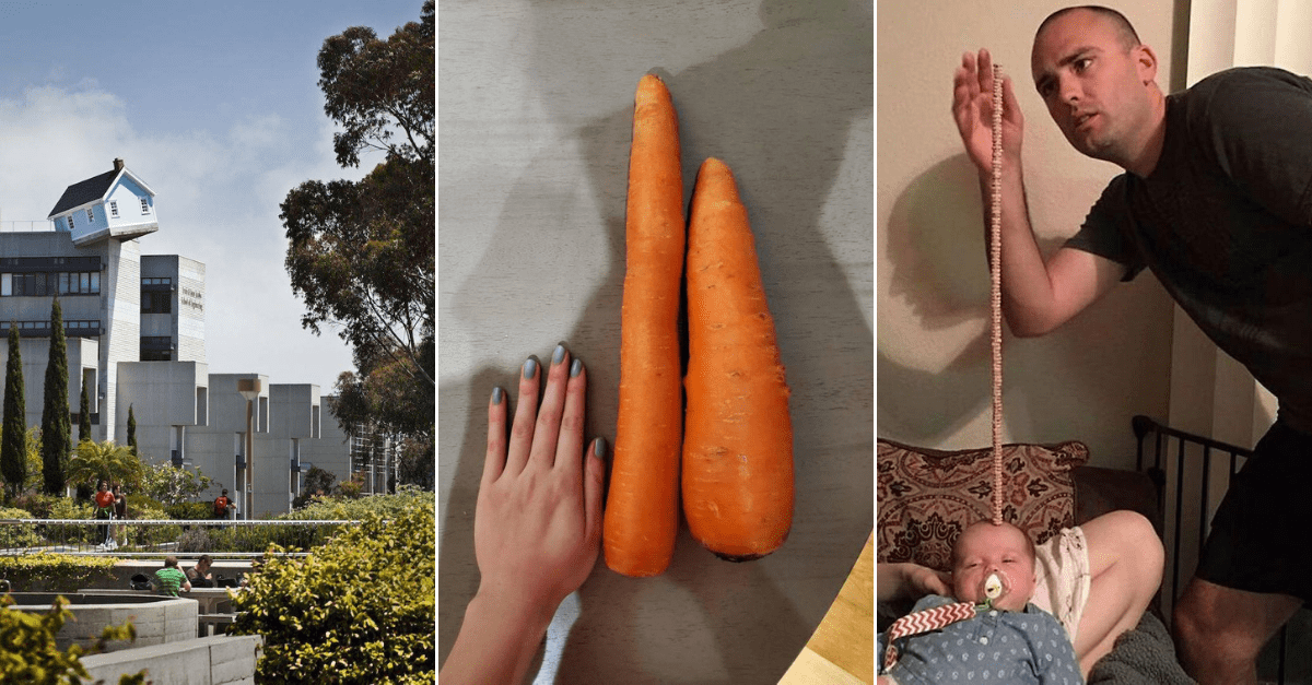 30+ Obrázkov, ktorými dokonale zabiješ čas #203