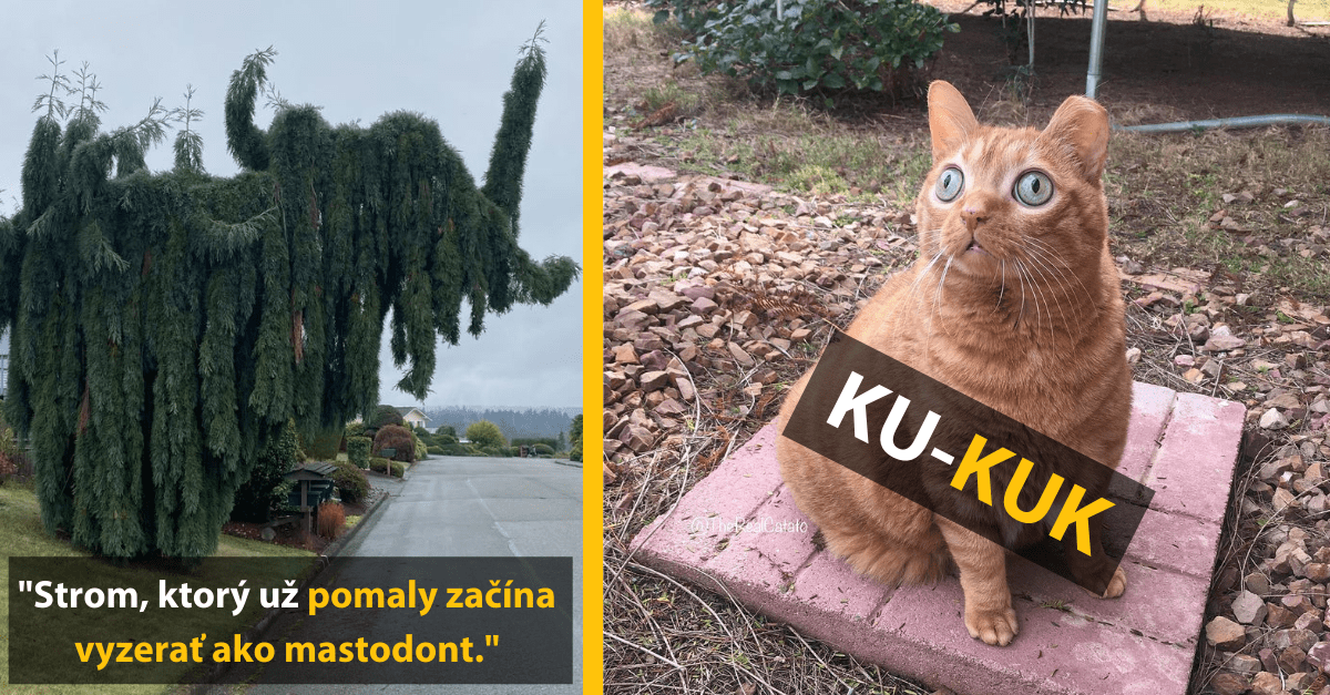 13 úžasných vecí, s ktorými sa naša príroda pekne pohrala