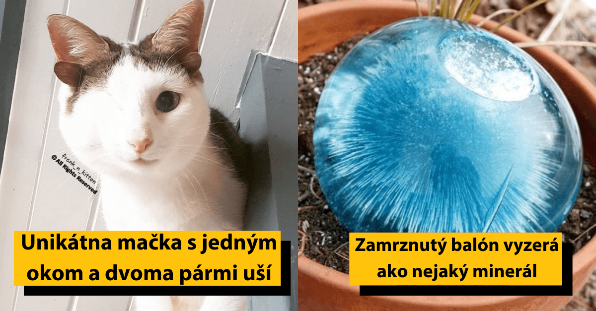 19 prípadov, kedy príroda nadelila zaujímavý dizajn