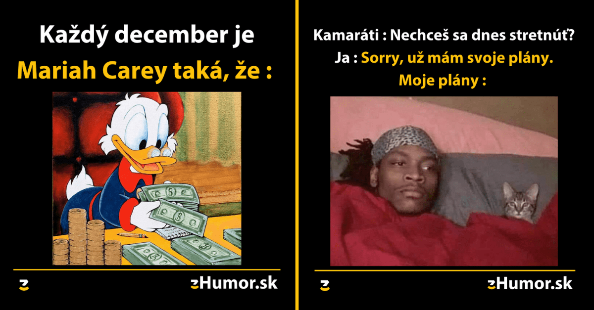 Zopár memečiek, ktoré vznikli, aby ti spríjemnili dnešný deň #944 : Ja som hlavný problém v rodine.