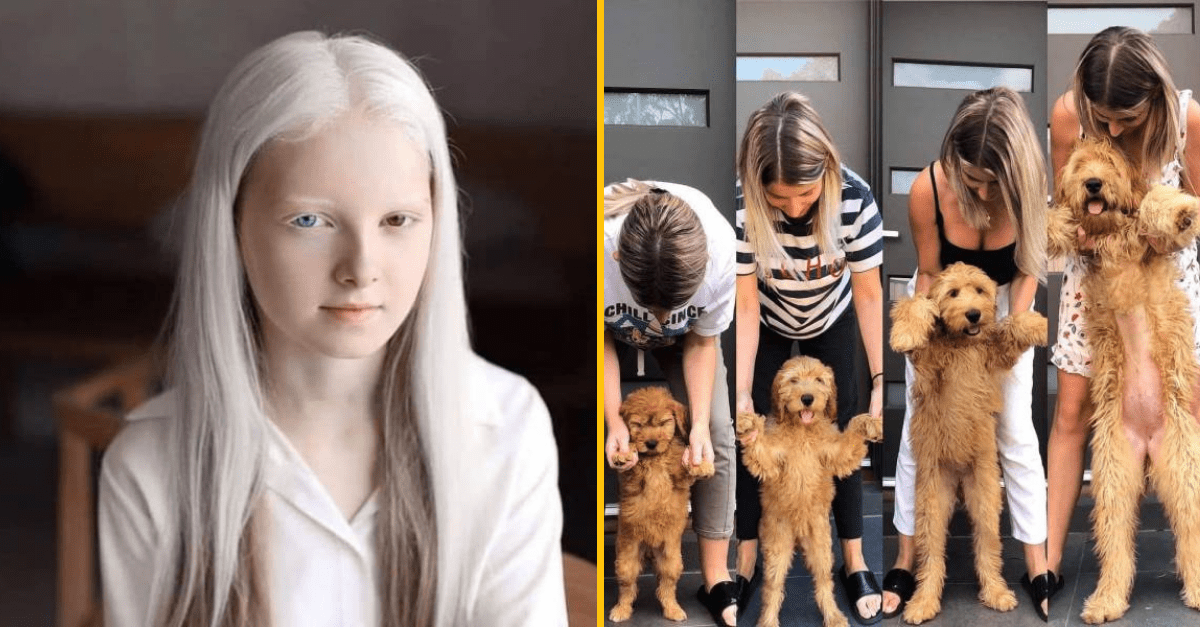 30+ Obrázkov, ktorými dokonale zabiješ čas #218