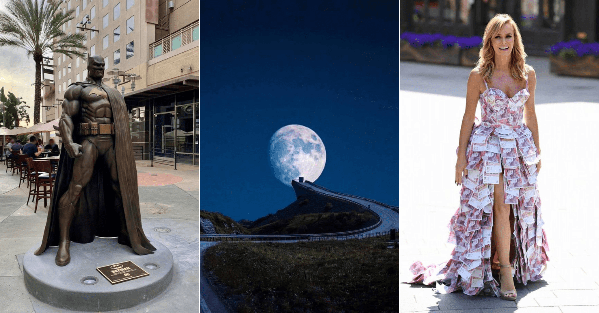 30+ Obrázkov, ktorými dokonale zabiješ čas #211