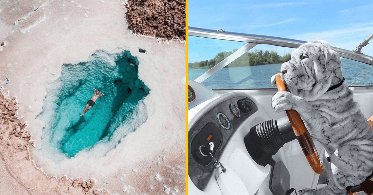 30+ Obrázkov, ktorými dokonale zabiješ čas #214