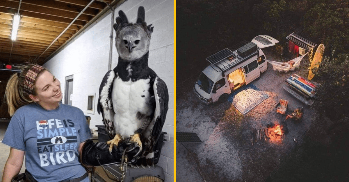 30+ Obrázkov, ktorými dokonale zabiješ čas #212