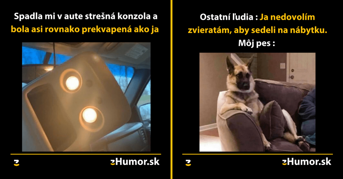 Zopár memečiek, ktoré vznikli, aby ti spríjemnili dnešný deň #956 : S mačkou sa musíš deliť o všetko.