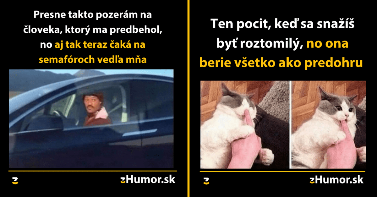 Zopár memečiek, ktoré vznikli, aby ti spríjemnili dnešný deň #957 : Môj morálny kompas má často opúšťa.