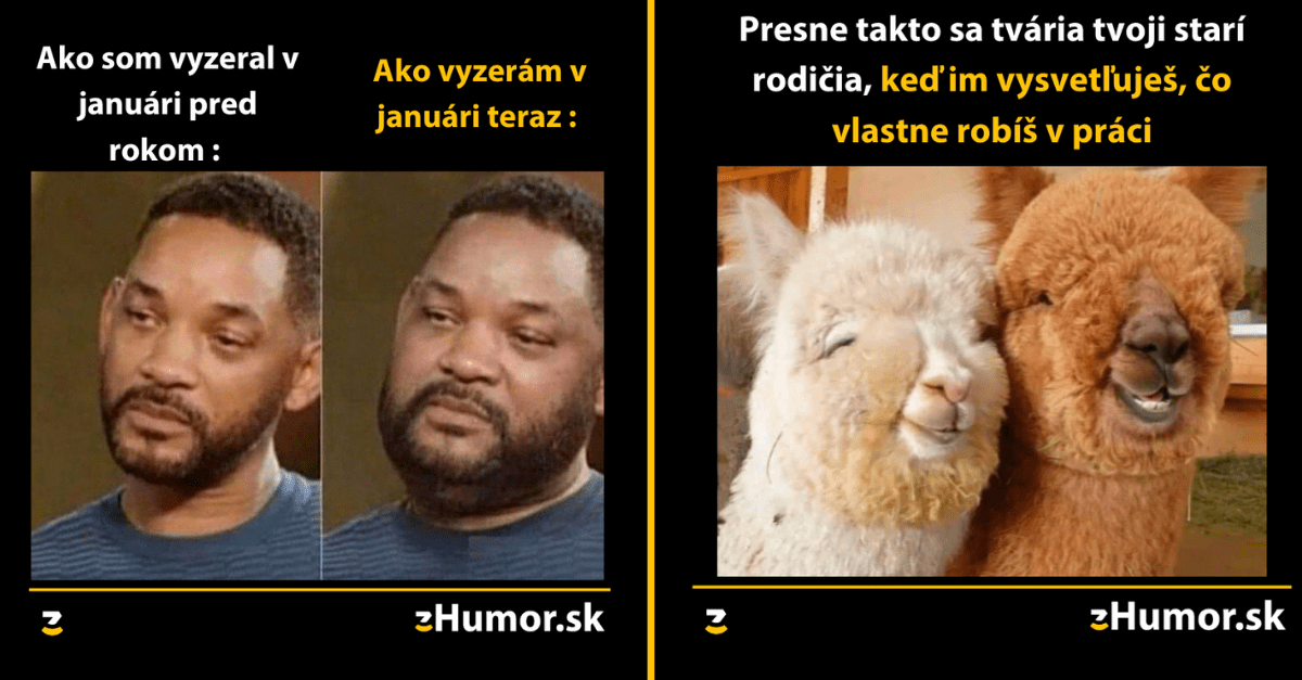 Zopár memečiek, ktoré vznikli, aby ti spríjemnili dnešný deň #949 : Introverti majú opäť raj.