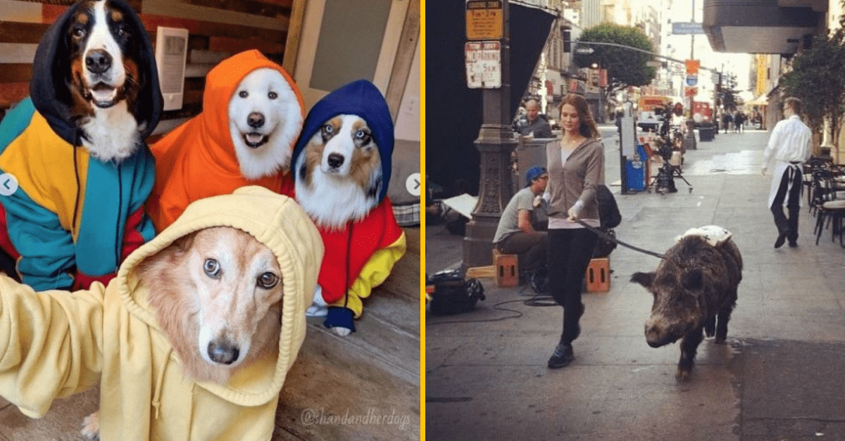 30+ Obrázkov, ktorými dokonale zabiješ čas #235