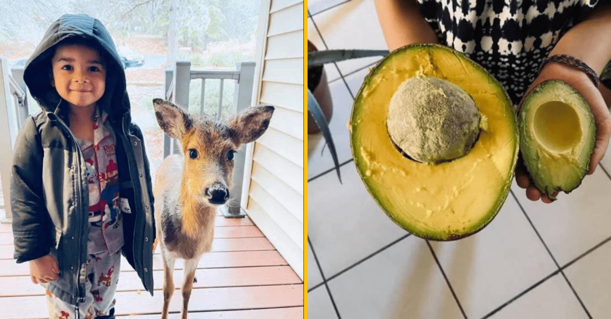 30+ Obrázkov, ktorými dokonale zabiješ čas #246