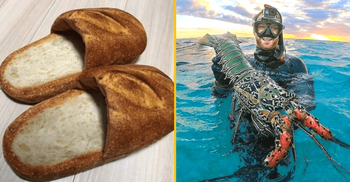 30+ Obrázkov, ktorými dokonale zabiješ čas #237