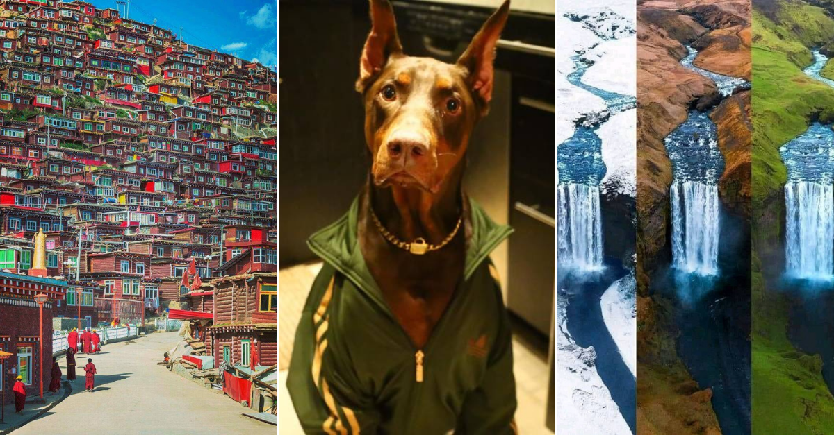 30+ Obrázkov, ktorými dokonale zabiješ čas #229