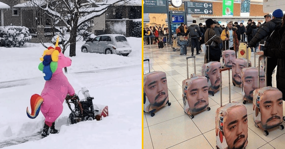 30+ Obrázkov, ktorými dokonale zabiješ čas #233