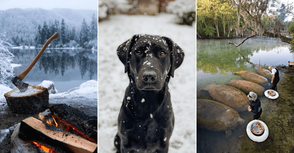 30+ Obrázkov, ktorými dokonale zabiješ čas #243