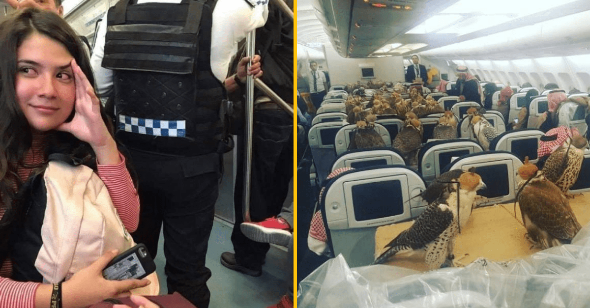 30+ Obrázkov, ktorými dokonale zabiješ čas #245