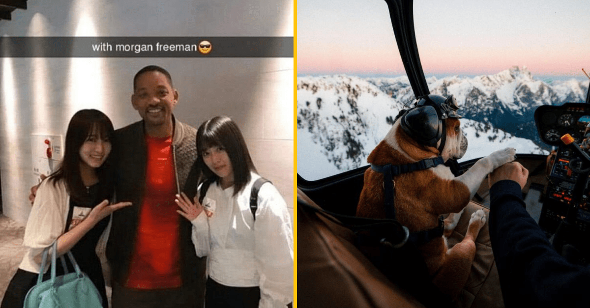 30+ Obrázkov, ktorými dokonale zabiješ čas #244