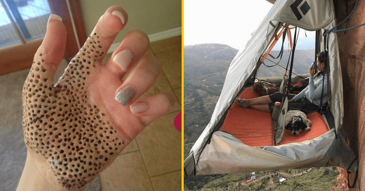 30+ Obrázkov, ktorými dokonale zabiješ čas #231