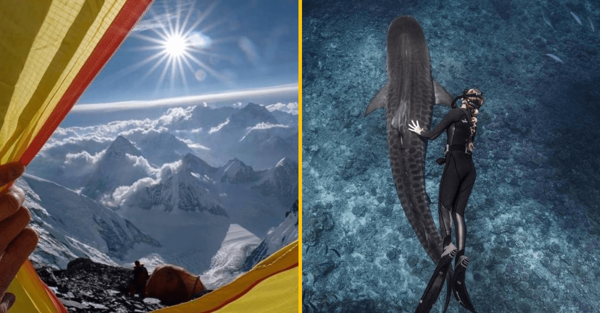 30+ Obrázkov, ktorými dokonale zabiješ čas #236