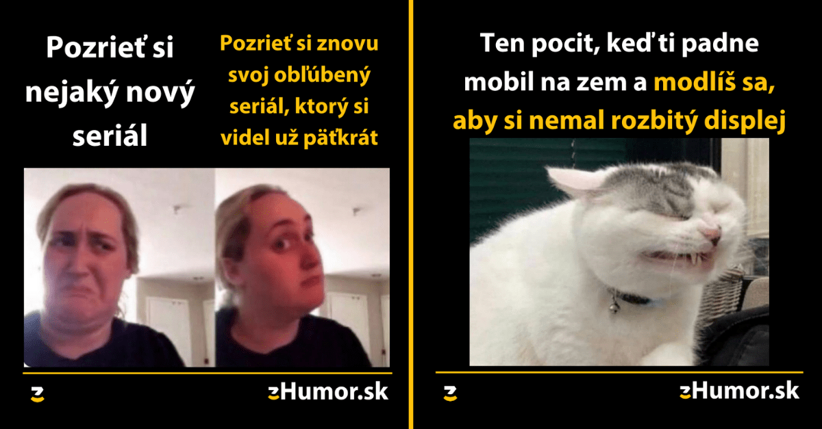 Zopár memečiek, ktoré vznikli, aby ti spríjemnili dnešný deň #963 : Radšej sa budem sám mordovať, než niekoho požiadam o pomoc.