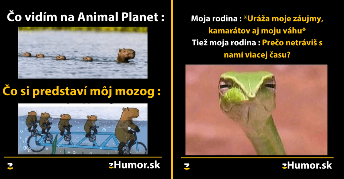 Zopár memečiek, ktoré vznikli, aby ti spríjemnili dnešný deň #972 : Zákazníci prídu v každom počasí.