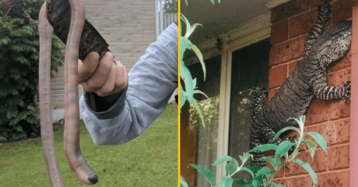 30 fotiek, ktoré dokazujú, že Austrália je úplne iný svet