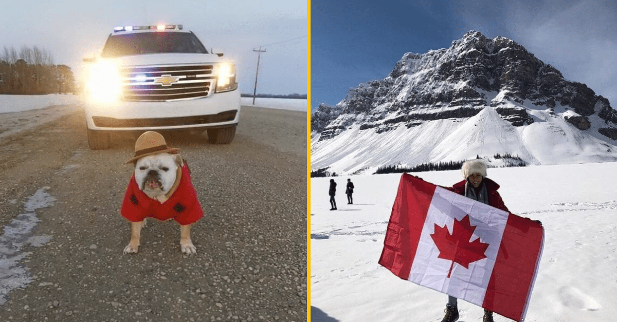 Meanwhile in Canada: 20+ obrázkov, ktoré dokonale vystihujú život na severe