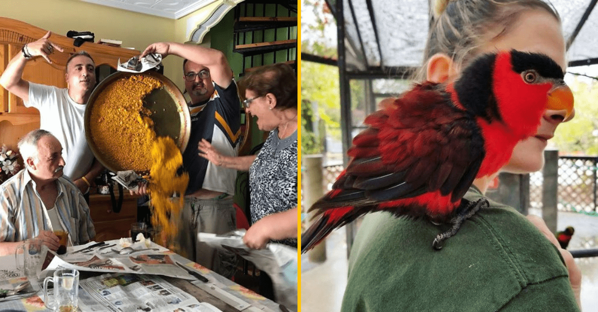 50 fotiek, ktoré ukazujú, že perfektné načasovanie vie spraviť zázraky