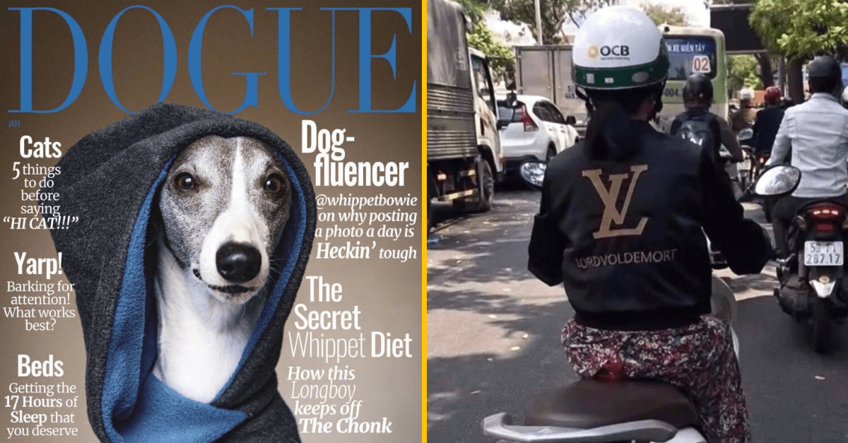 30+ Obrázkov, ktorými dokonale zabiješ čas #252