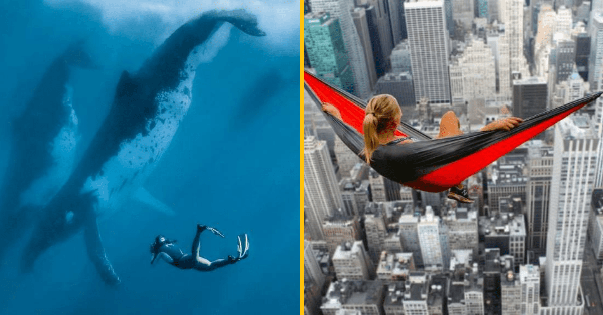 30+ Obrázkov, ktorými dokonale zabiješ čas #262