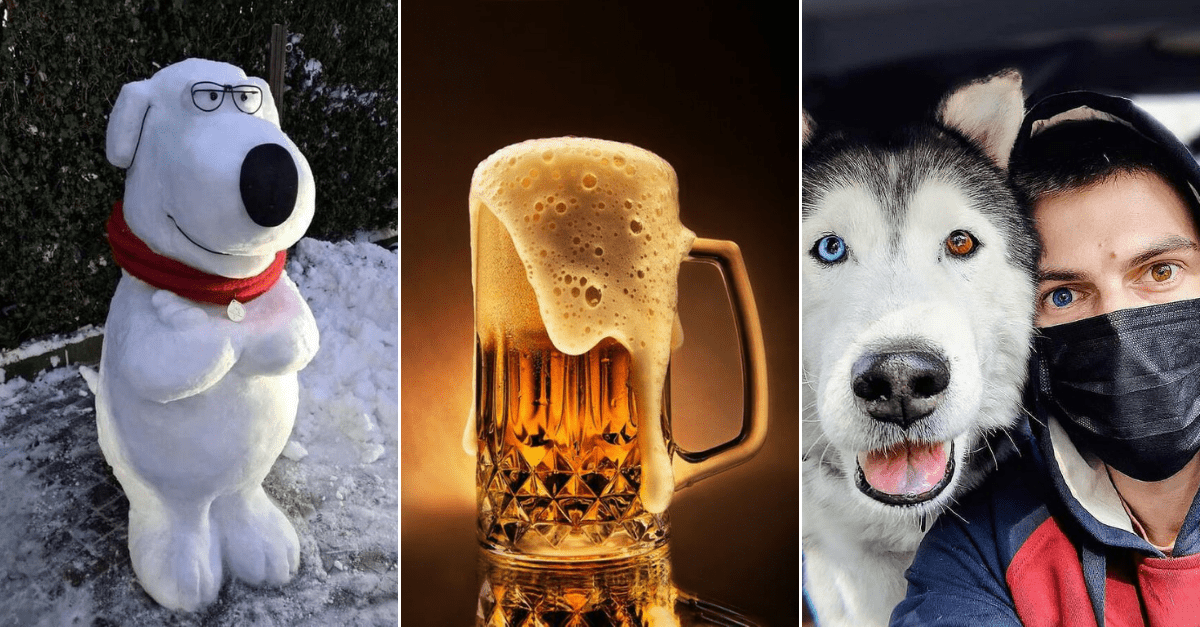 30+ Obrázkov, ktorými dokonale zabiješ čas #258