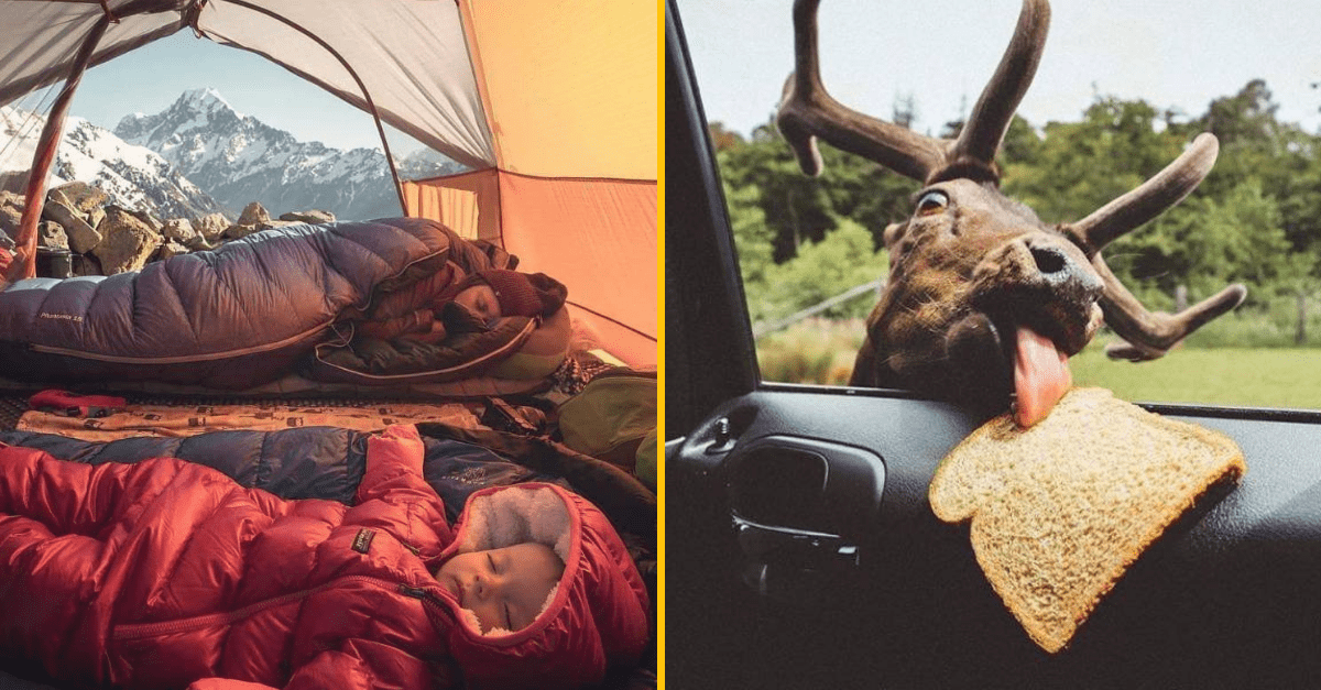 30+ Obrázkov, ktorými dokonale zabiješ čas #250