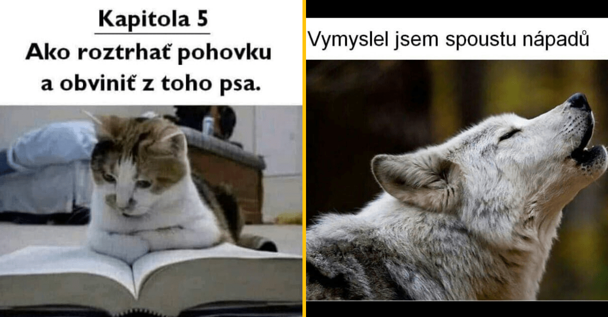 50+ nahodných vtipných obrázkov z našej FB skupiny – Veľká kompilačka Všetko vtipné z Internetu