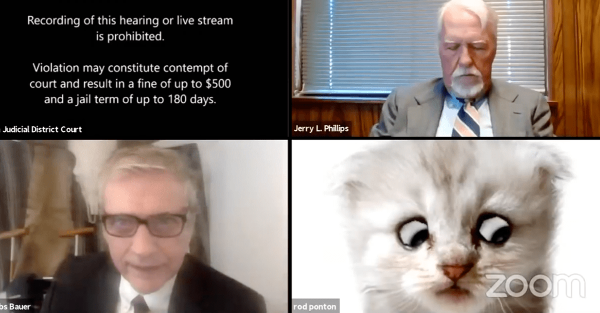 Advokát sa na súde omylom objavil s mačacím filtrom. Z videa sa stal virál a baví celý internet