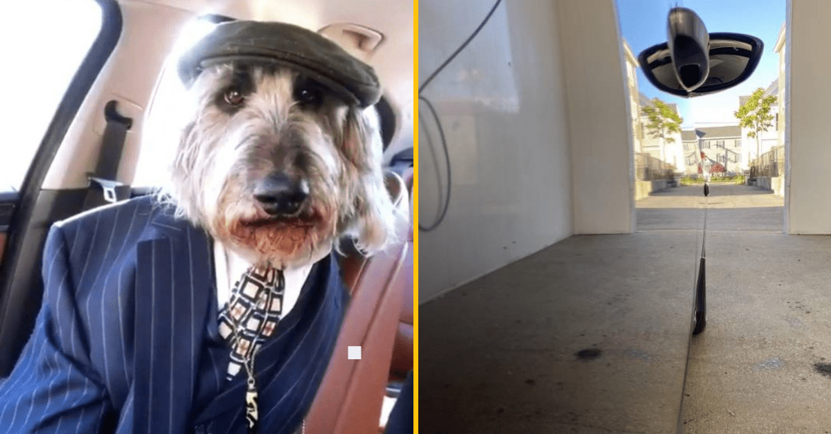 30+ Obrázkov, ktorými dokonale zabiješ čas #271