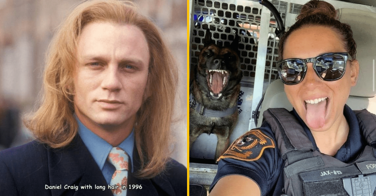 30+ Obrázkov, ktorými dokonale zabiješ čas #267