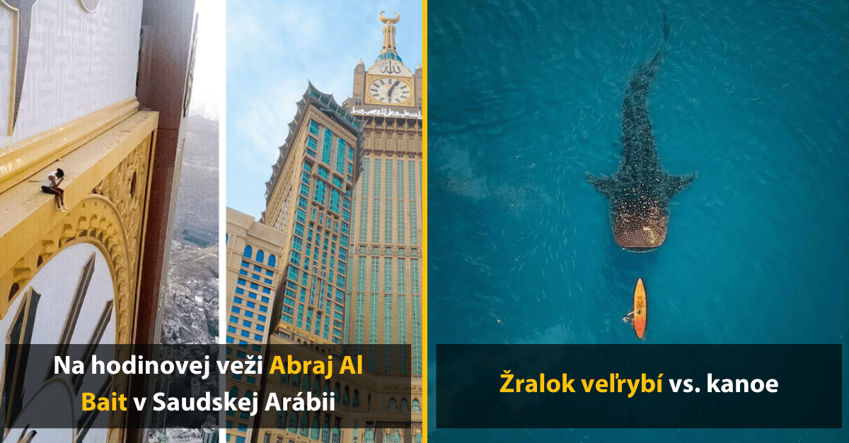 20+ fotografií gigantických vecí a zvierat, ktoré vám vyrazia dych