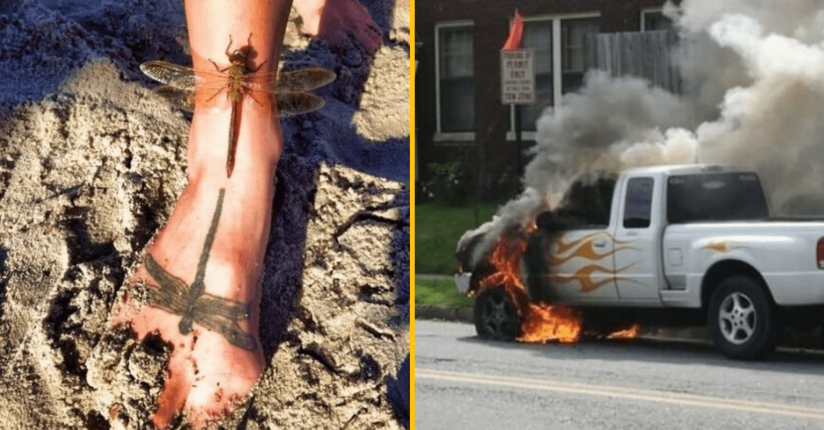 20 fotografií, kedy človek spolu s náhodou vytvorili umenie