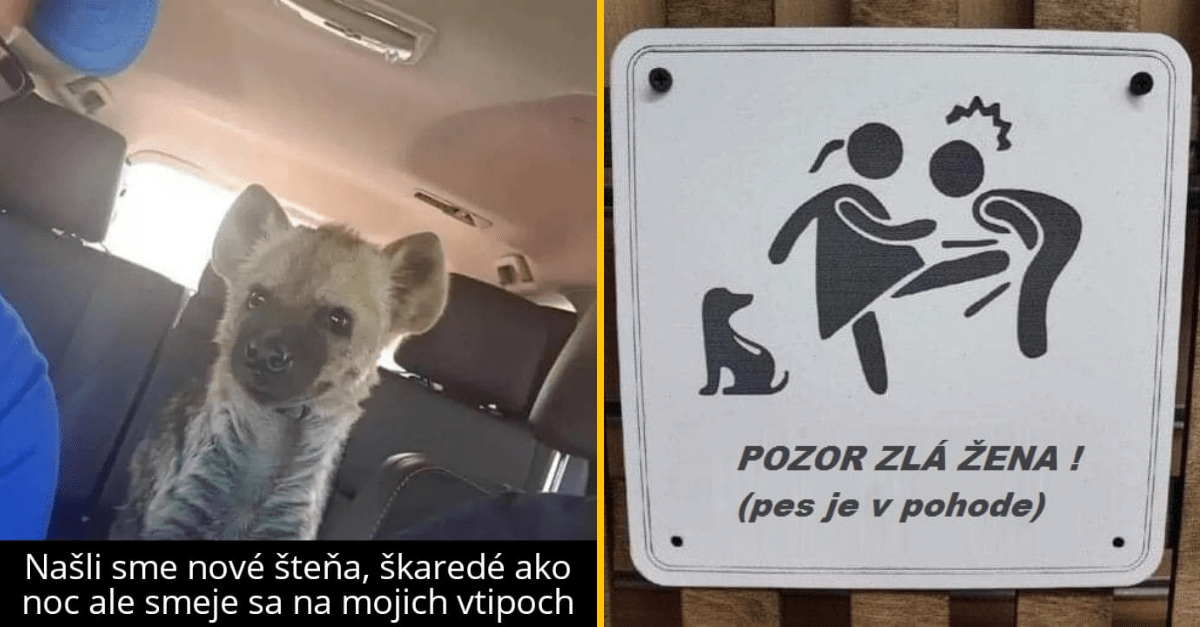 20+ Obrázkov: Všetko vtipné z internetu! #524 – Tuning na aute od babky ale aj pes, ktorý sa rád smeje