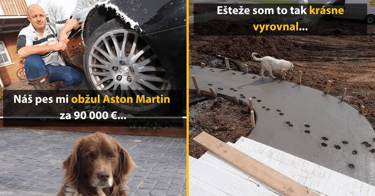 30+ domácich miláčikov, ktorí svojim majiteľom poriadne skomplikovali deň