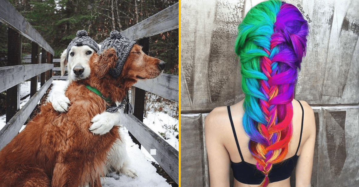 30+ Obrázkov, ktorými dokonale zabiješ čas #270