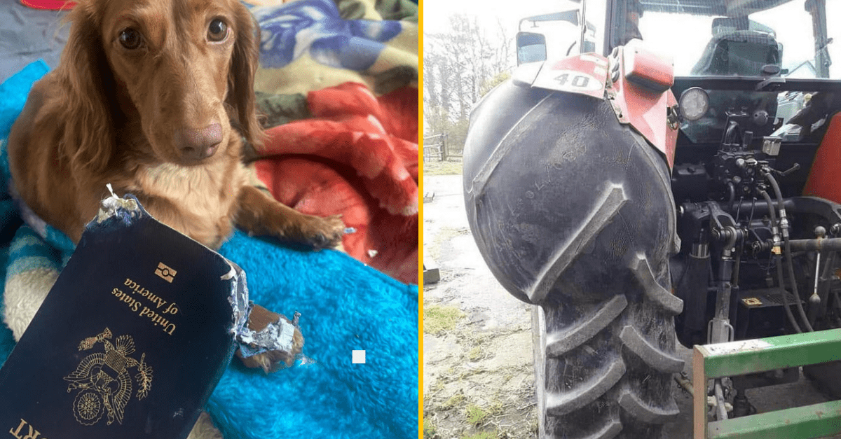 20 + nešťastníkov, ktorí majú pekne skazený deň