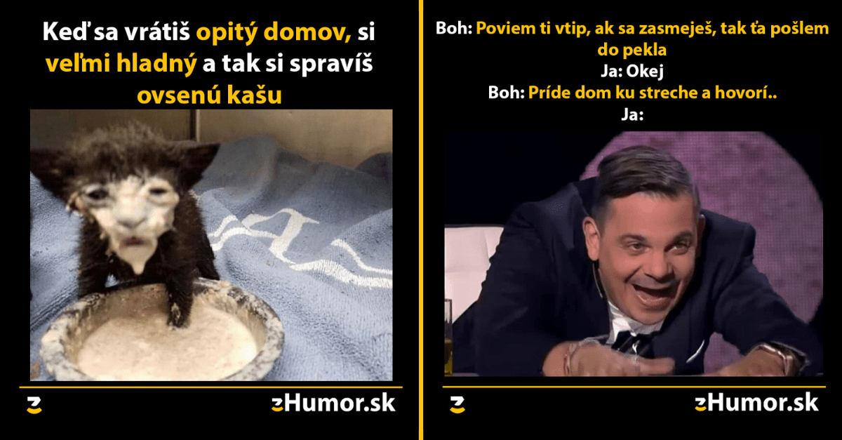 Zopár memečiek, ktoré vznikli, aby ti spríjemnili deň #1012 : Opitý návrat domov