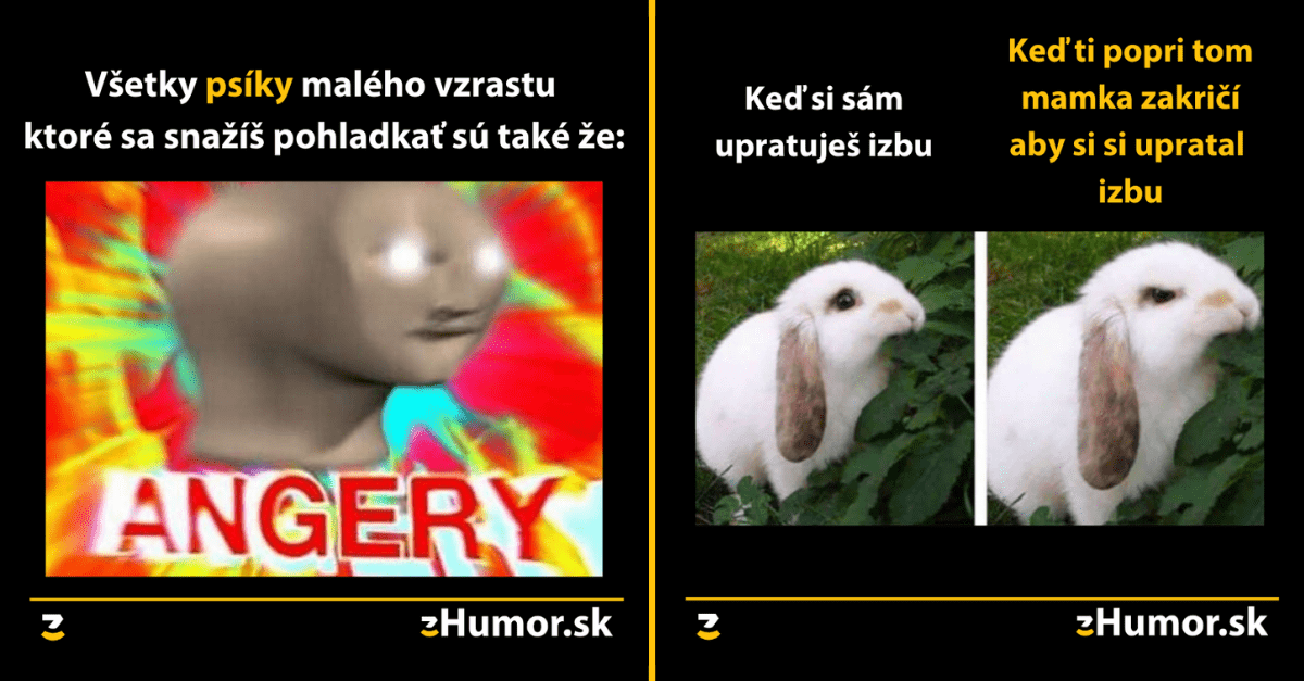Zopár memečiek, ktoré vznikli, aby ti spríjemnili dnešný deň #1002 : Nasratý pes