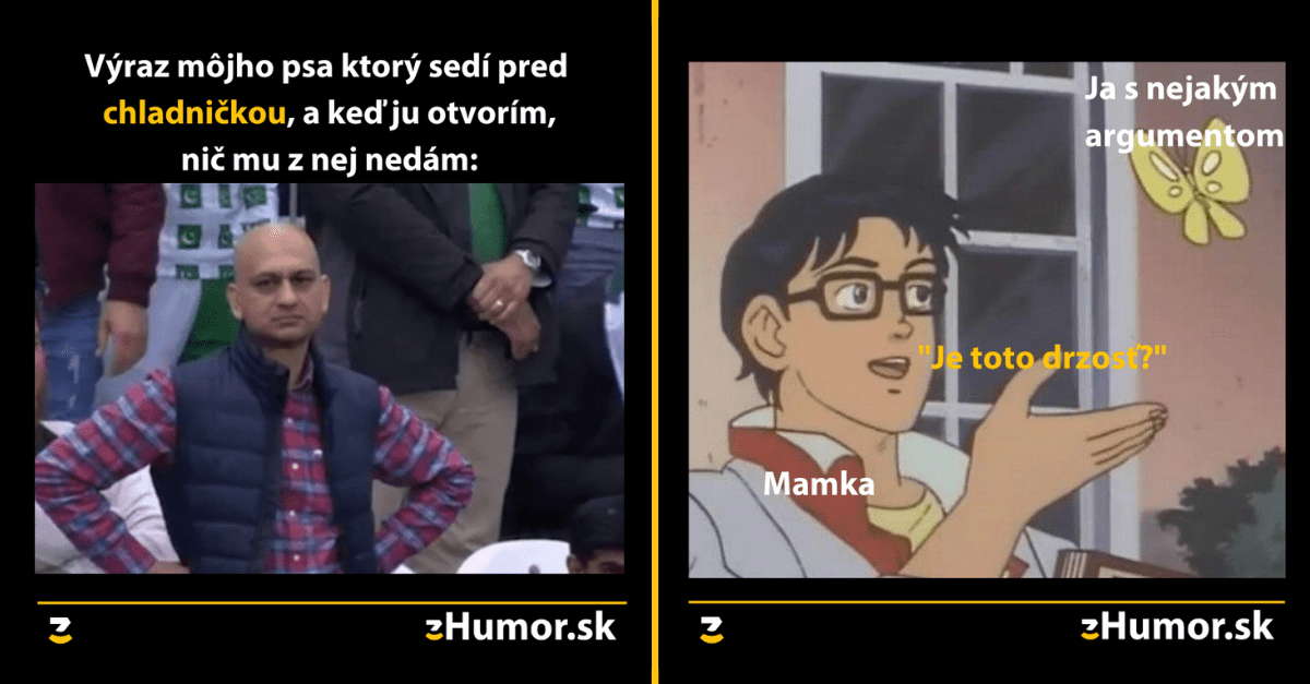 Zopár memečiek, ktoré vznikli, aby ti spríjemnili dnešný deň #1003 : Argument