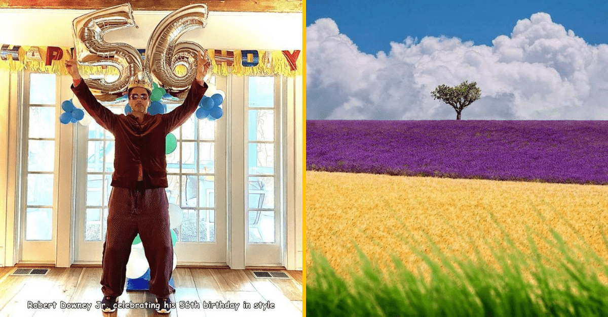 30+ Obrázkov, ktorými dokonale zabiješ čas #294