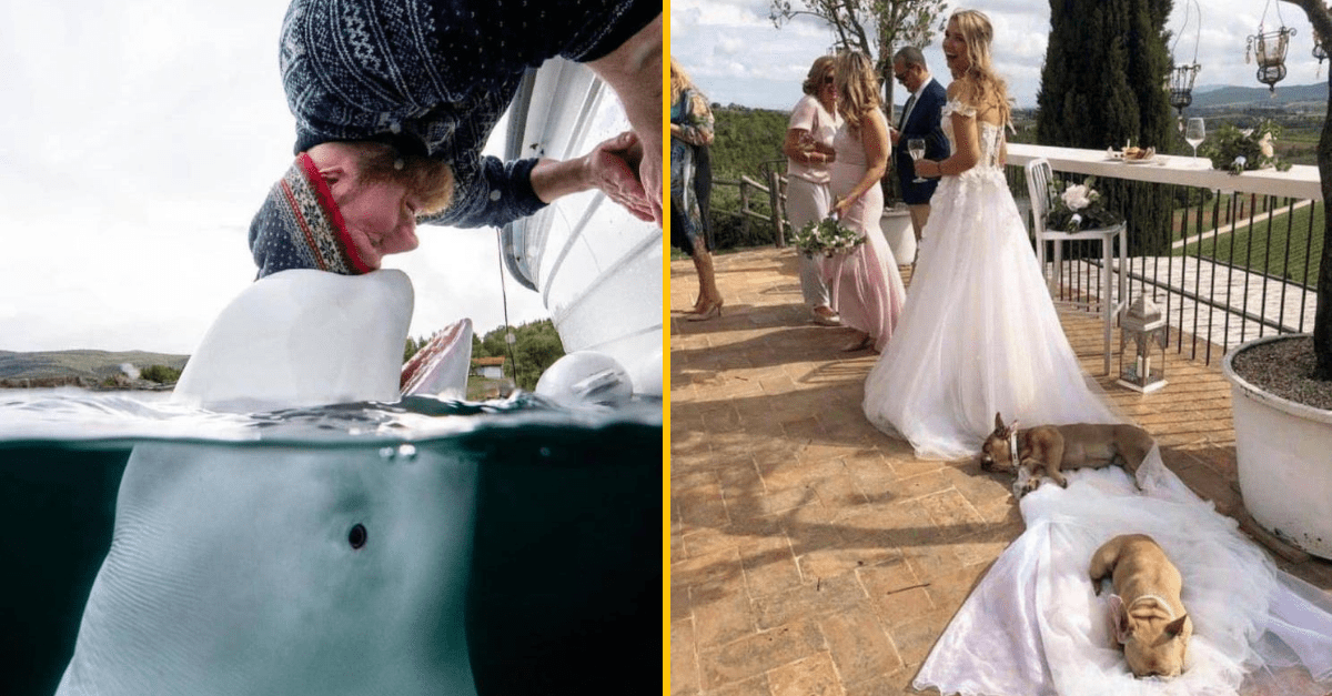 30+ Obrázkov, ktorými dokonale zabiješ čas #296