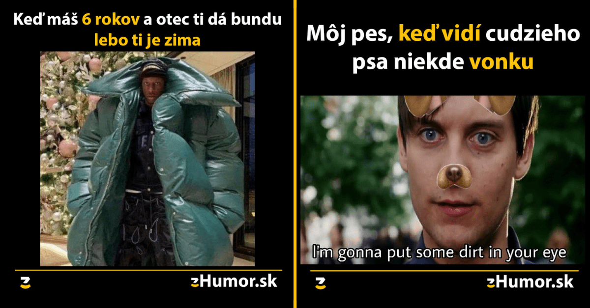 Zopár memečiek, ktoré vznikli, aby ti spríjemnili deň #1029 : Dogzilla