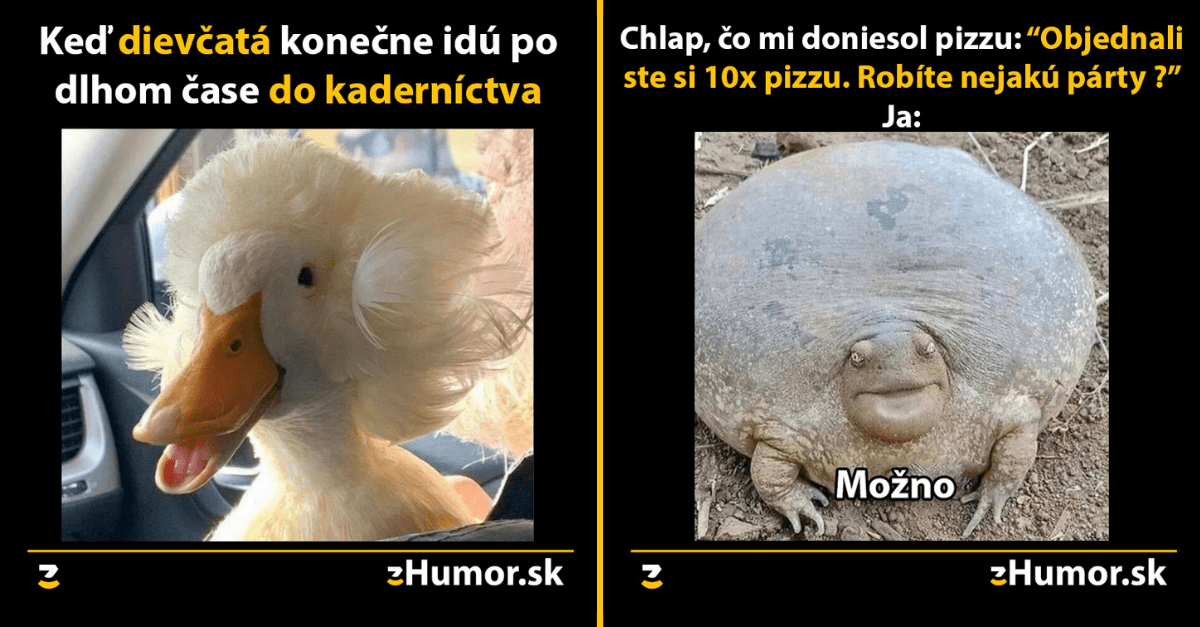 Zopár memečiek, ktoré vznikli, aby ti spríjemnili deň #1031 : Friendzone