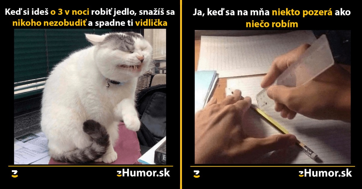 Zopár memečiek, ktoré vznikli, aby ti spríjemnili deň #1039 : Pohreb