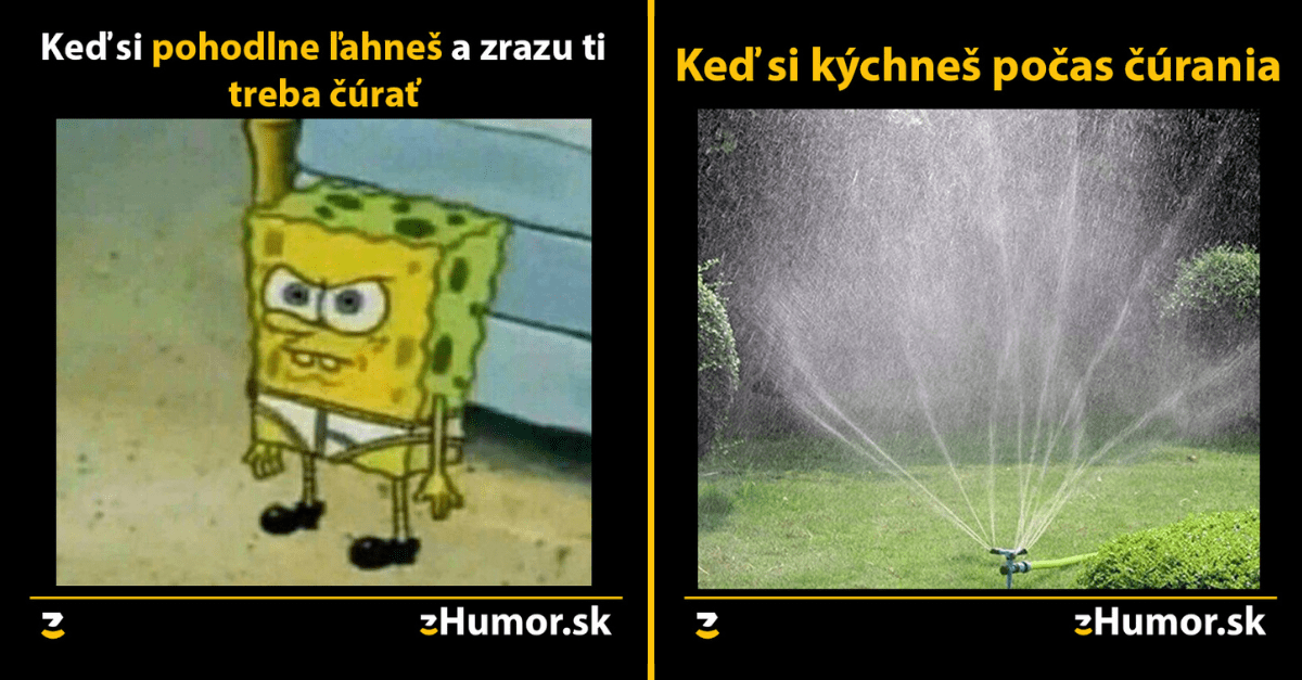 Zopár memečiek, ktoré vznikli, aby ti spríjemnili deň #1040 : Schrödingerov pohreb